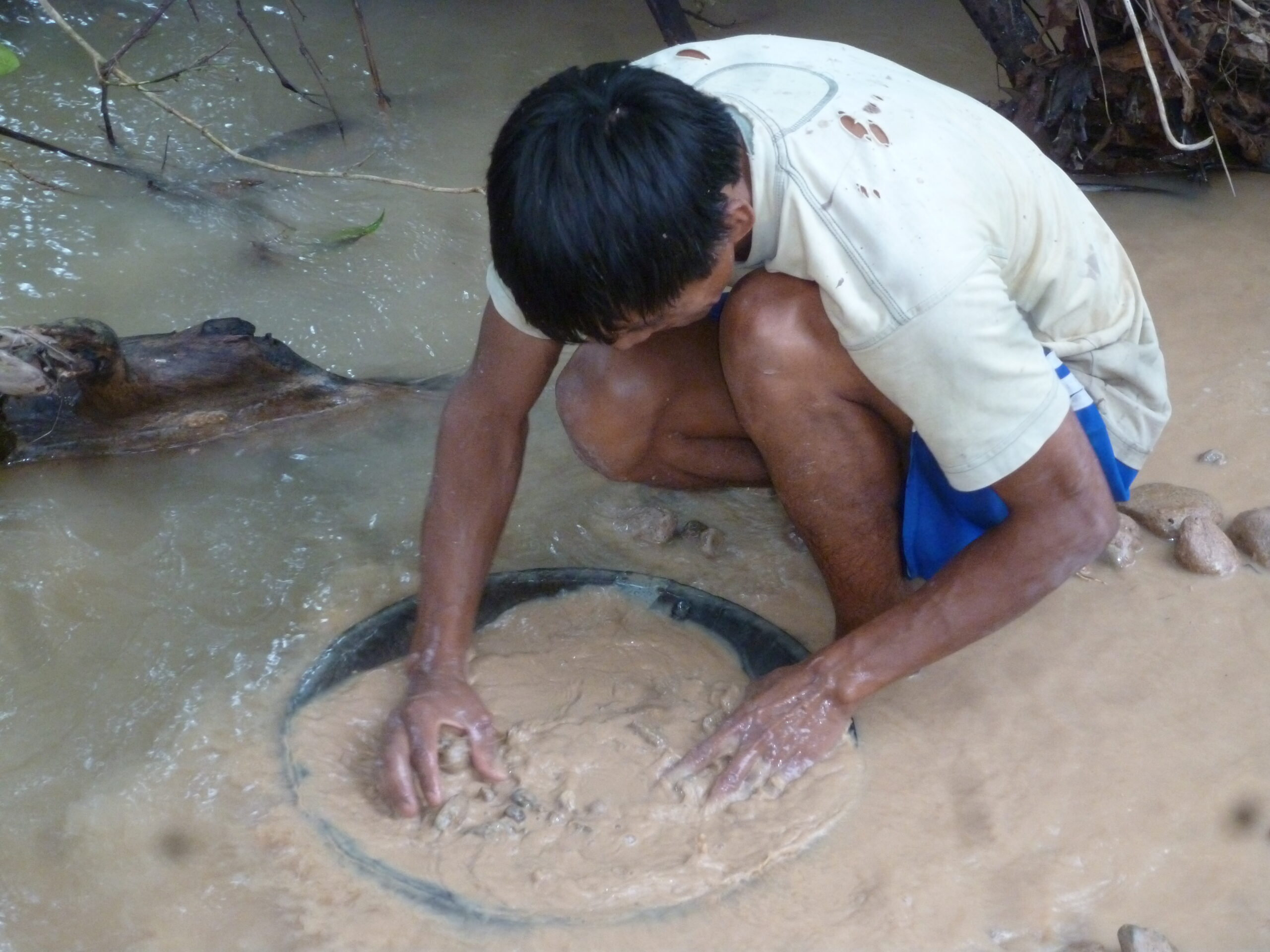 Gold ore concentrates Chinese buyer