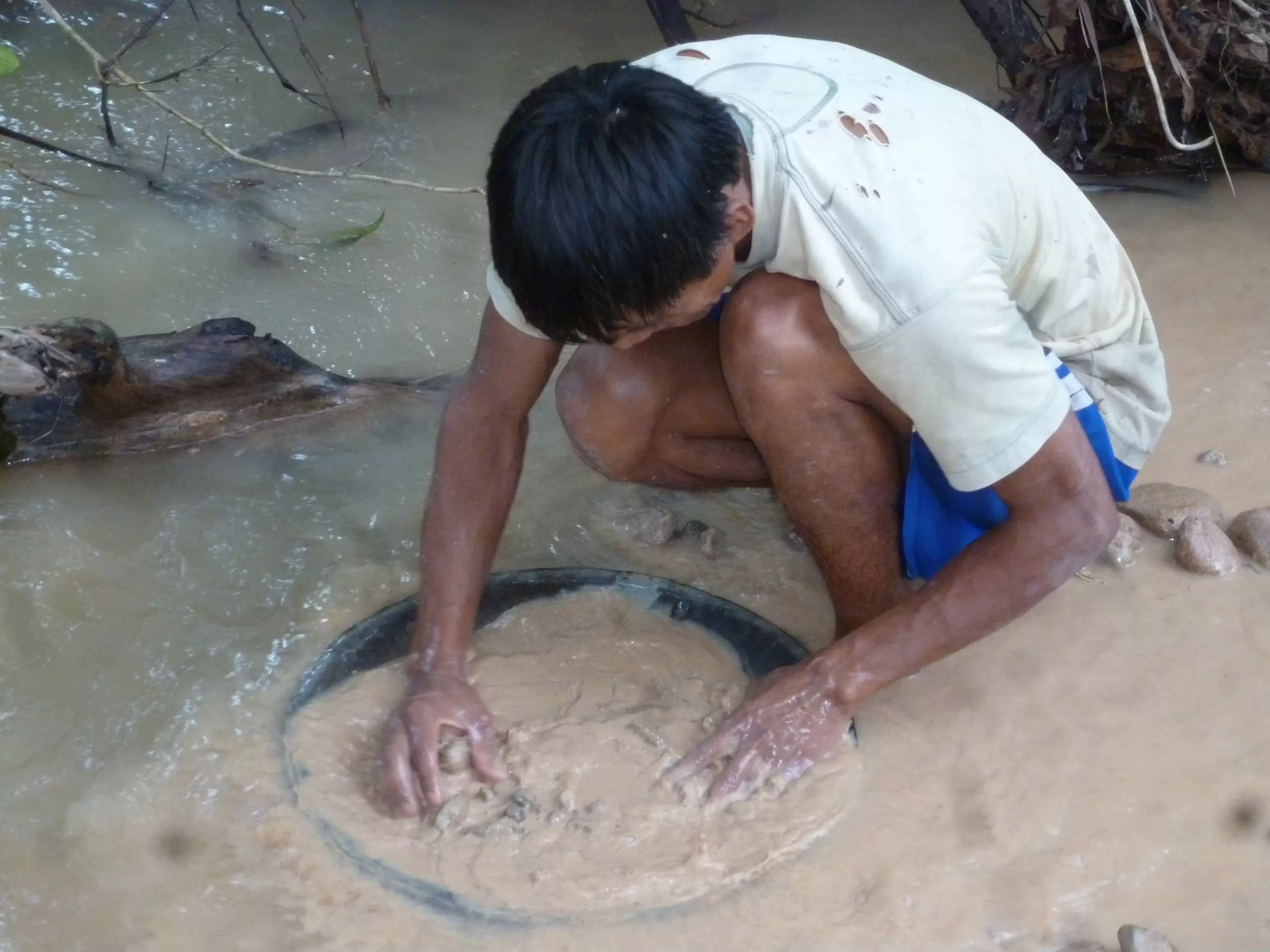 Gold ore concentrates Chinese buyer