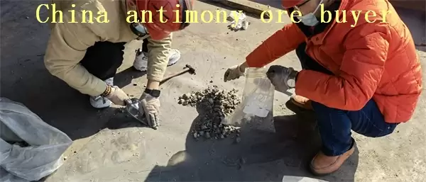Workers are sampling antimony ore